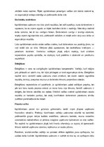 Образец документа 'Izpilddirektora amata apraksts', 4.