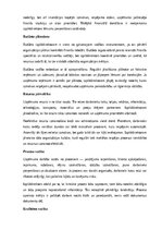 Образец документа 'Izpilddirektora amata apraksts', 5.