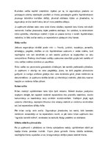 Образец документа 'Izpilddirektora amata apraksts', 6.