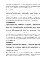 Образец документа 'Izpilddirektora amata apraksts', 8.