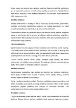 Образец документа 'Izpilddirektora amata apraksts', 10.