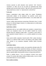 Образец документа 'Izpilddirektora amata apraksts', 13.