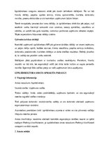 Образец документа 'Izpilddirektora amata apraksts', 14.