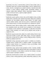 Образец документа 'Izpilddirektora amata apraksts', 15.