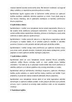 Образец документа 'Izpilddirektora amata apraksts', 16.