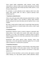 Образец документа 'Izpilddirektora amata apraksts', 17.