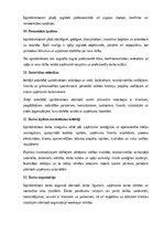 Образец документа 'Izpilddirektora amata apraksts', 18.