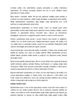 Образец документа 'Izpilddirektora amata apraksts', 22.