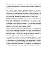 Образец документа 'Izpilddirektora amata apraksts', 23.