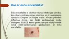 Презентация 'Ērču encefalīts', 2.