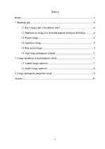 Реферат 'Līzinga paklpojumi un nosacījumi Latvijas līzinga sabiedrībās (vadošajās un ‘’ma', 2.