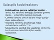 Презентация 'Kodolreaktori', 20.