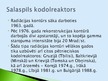 Презентация 'Kodolreaktori', 21.