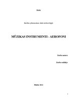 Реферат 'Mūzikas instrumenti - aerofoni', 1.