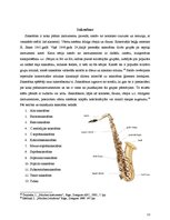 Реферат 'Mūzikas instrumenti - aerofoni', 13.