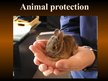 Презентация 'Animal Protection', 1.