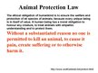 Презентация 'Animal Protection', 2.