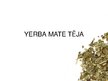 Конспект 'Yerba mate tēja', 9.