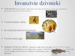Презентация 'Invanzīvās sugas Latvijā', 5.