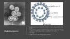 Презентация 'Vakcīna pret papilomas vīrusu', 2.