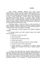 Реферат 'A/S "AirBaltic" mārketinga vides un stratēģijas analīze un darbības plānošana', 3.