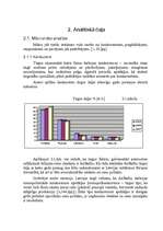 Реферат 'A/S "AirBaltic" mārketinga vides un stratēģijas analīze un darbības plānošana', 7.