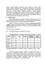 Реферат 'A/S "AirBaltic" mārketinga vides un stratēģijas analīze un darbības plānošana', 13.