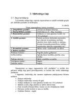 Реферат 'A/S "AirBaltic" mārketinga vides un stratēģijas analīze un darbības plānošana', 23.