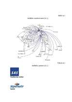 Реферат 'A/S "AirBaltic" mārketinga vides un stratēģijas analīze un darbības plānošana', 34.