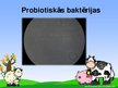Презентация 'Probiotisko baktēriju attīstība piena fermentācijas procesā', 8.
