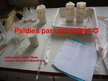 Презентация 'Probiotisko baktēriju attīstība piena fermentācijas procesā', 13.