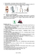 Образец документа 'Darba aizsardzības instrukcija sniega tīrīšanai no ēkas jumta', 21.