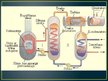 Презентация 'Kodolreaktori un atomelektrostacijas', 4.