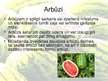 Презентация 'Arbūzi un melones', 2.