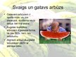 Презентация 'Arbūzi un melones', 4.