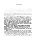 Эссе 'Eseja “Vai viegli būt jaunam?”', 1.