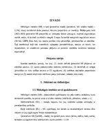 Реферат 'Ģeneratīvā mākslīgā intelekta (MI) ieviešana un ietekme uz produktivitāti un pār', 4.