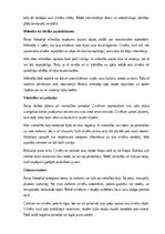 Эссе 'Mani saistošais Raiņa filosofijā', 5.