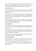 Эссе 'Mani saistošais Raiņa filosofijā', 6.