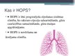 Презентация 'Hroniska obstruktīva plaušu slimība', 2.
