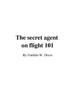 Конспект 'Franklin W.Dixon "The Secret Agent on Flight 101"', 1.