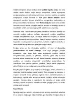 Эссе 'Ilgtspējīga enerģija un klimata pārmaiņas', 5.