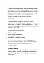 Эссе 'Enerģētikas transformācija: atjaunojamie energoresursi un to loma ilgtspējīgā nā', 1.