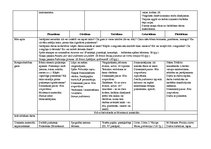 Конспект 'Tematiskais plāns gadam pirmsskolas jaukta vecuma grupai', 37.