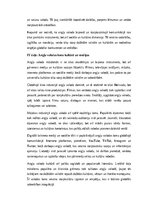 Эссе 'Angļu valodas loma globālajā sabiedrībā: komunikācija, izglītība un kultūra', 3.