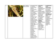 Конспект 'Praktiskais darbs augu aizsardzībā', 8.