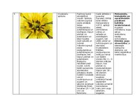 Конспект 'Praktiskais darbs augu aizsardzībā', 13.