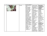 Конспект 'Praktiskais darbs augu aizsardzībā', 18.