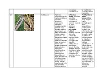 Конспект 'Praktiskais darbs augu aizsardzībā', 19.