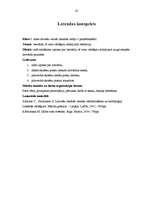 Отчёт по практике 'Latviešu valodas un literatūras specializācijas prakse', 20.